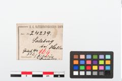 Etiketten zu Eisenring (NHMW-PRAE-024239)